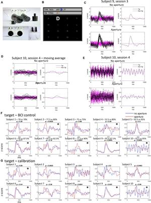 A P300 Brain-Computer Interface With a Reduced Visual Field